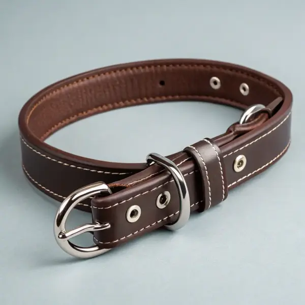 Collier de luxe en cuir pour chien