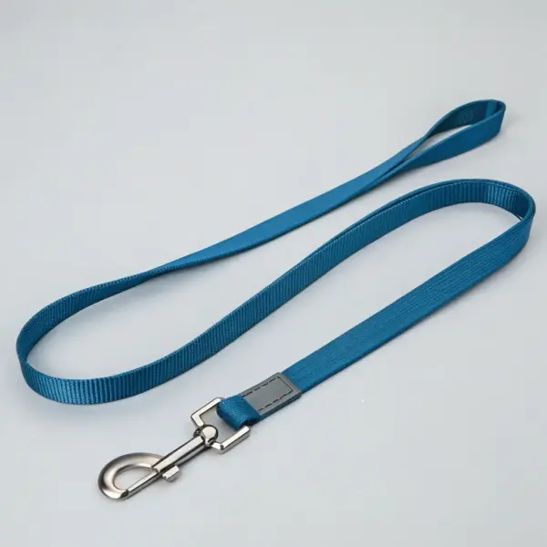 Laisse tendance en nylon